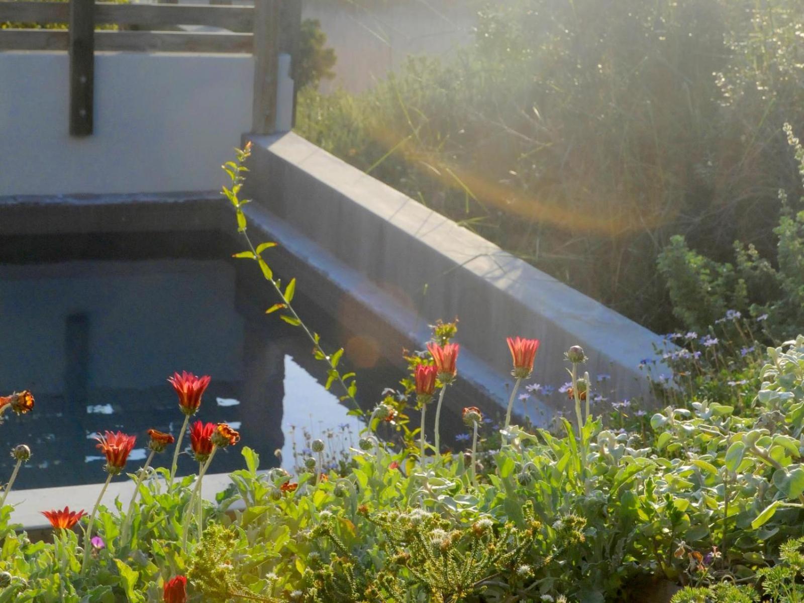 Christiana Lodge Plettenberg Bay Bilik gambar